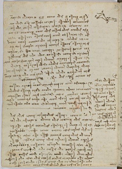 Codice sul volo degli uccelli, c. 1505-06, manoscritto su carta, cc. 18, foglio 13 verso da Leonardo da Vinci